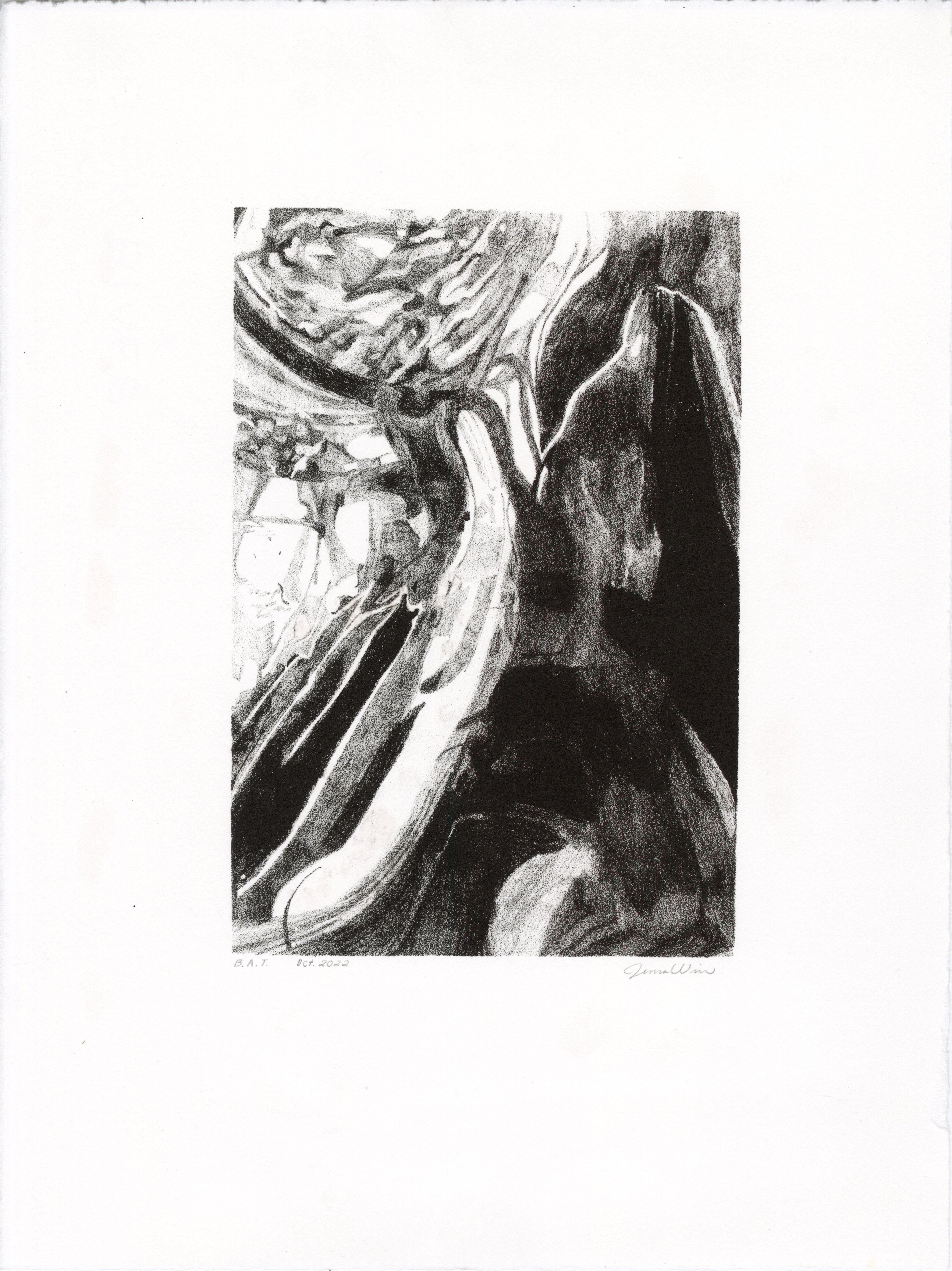 Abstract Lithographic Print